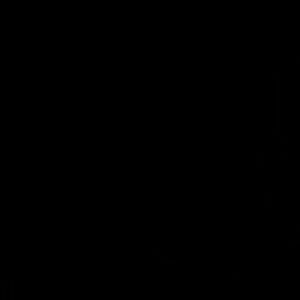 Meet your Posher, Leonel